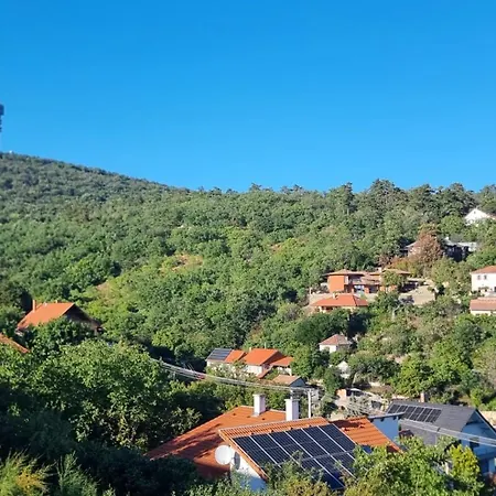 Lejlighed Hillside Olive Apartmanhaz Koezoes Wellnessell Pécs